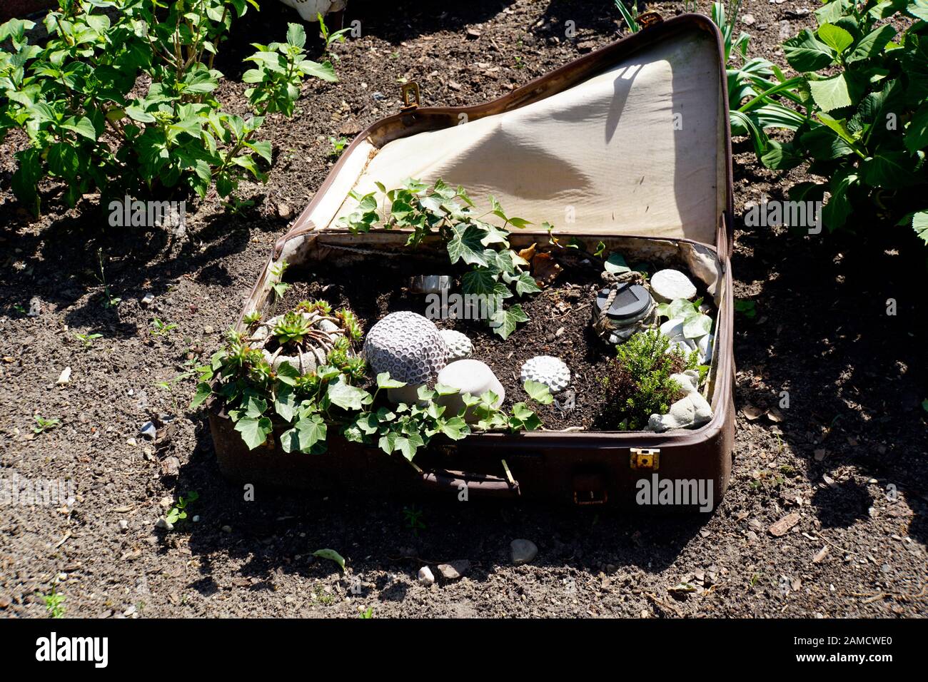 Lustige Dekoration im Garten - Minigarten in einem Reisekoffer Stockfoto