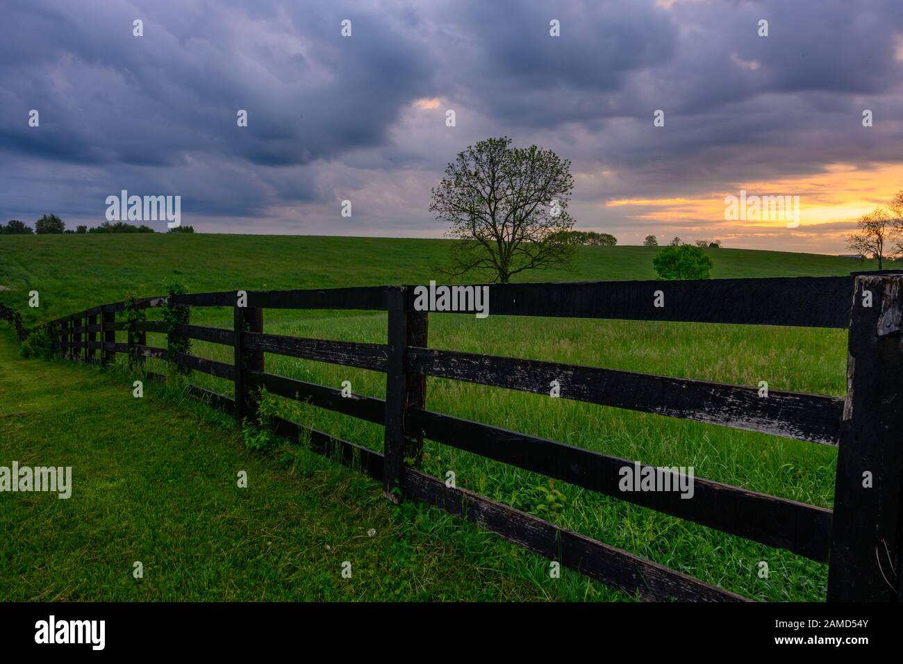 Sonnenaufgang auf dem Keeneland-Gelände entlang des Pferdezauns Stockfoto