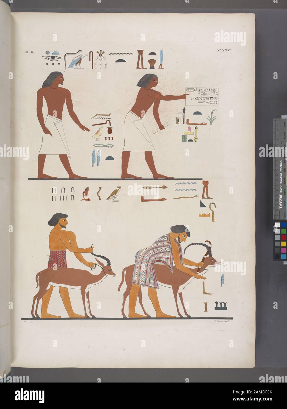 Stranieri fatti prigioni e condotti da UNO scriba, sotto il regno di Osortasen II (Sesostris II.) della dinastia XVII Stichwörter: Karawane von Asiaten; Grab des Khnumhotep III (Banî Hasan Site, Ägypten); Stranieri fatti prigioni e condotti da scriba, sotto regno xastridi oasttia II Stockfoto