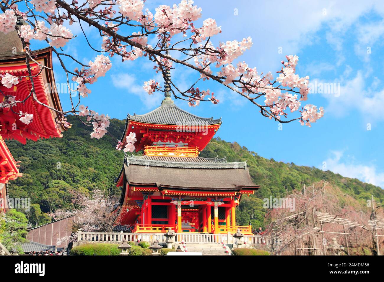 Pavillon im Kiyomizu-dera Tempel (Clean Water Temple) und Sakura Blumen. Frühlingszeit in Kyoto, Japan. Sakura blühende Saison Stockfoto