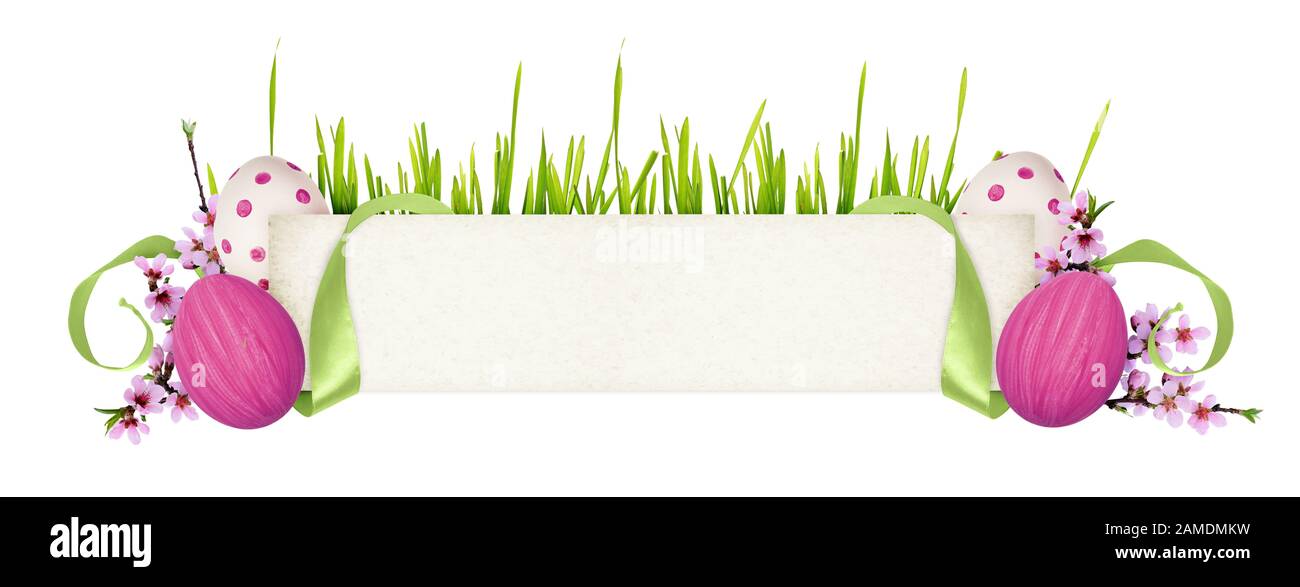 Gewelltes grünes Seidenband und eine Papierkarte für Text mit Ostern bemalten Eiern und Pfirsichblumen isoliert auf weißem Hintergrund Stockfoto