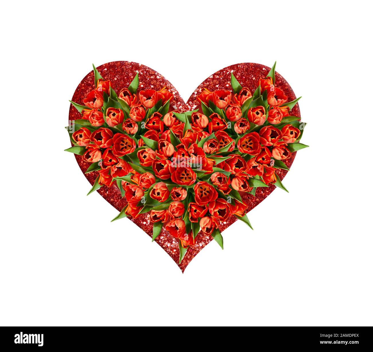 Draufsicht auf einen herzförmigen Blumenstrauß aus roten Tulpenblumen in einem glitzernden Herzen, das auf Weiß isoliert ist Stockfoto