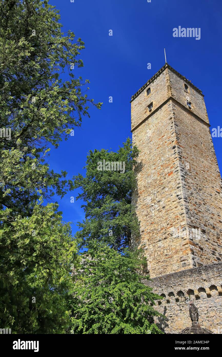 Burg Guttenberg ist ein Schloss in Deutschland Stockfotografie Alamy