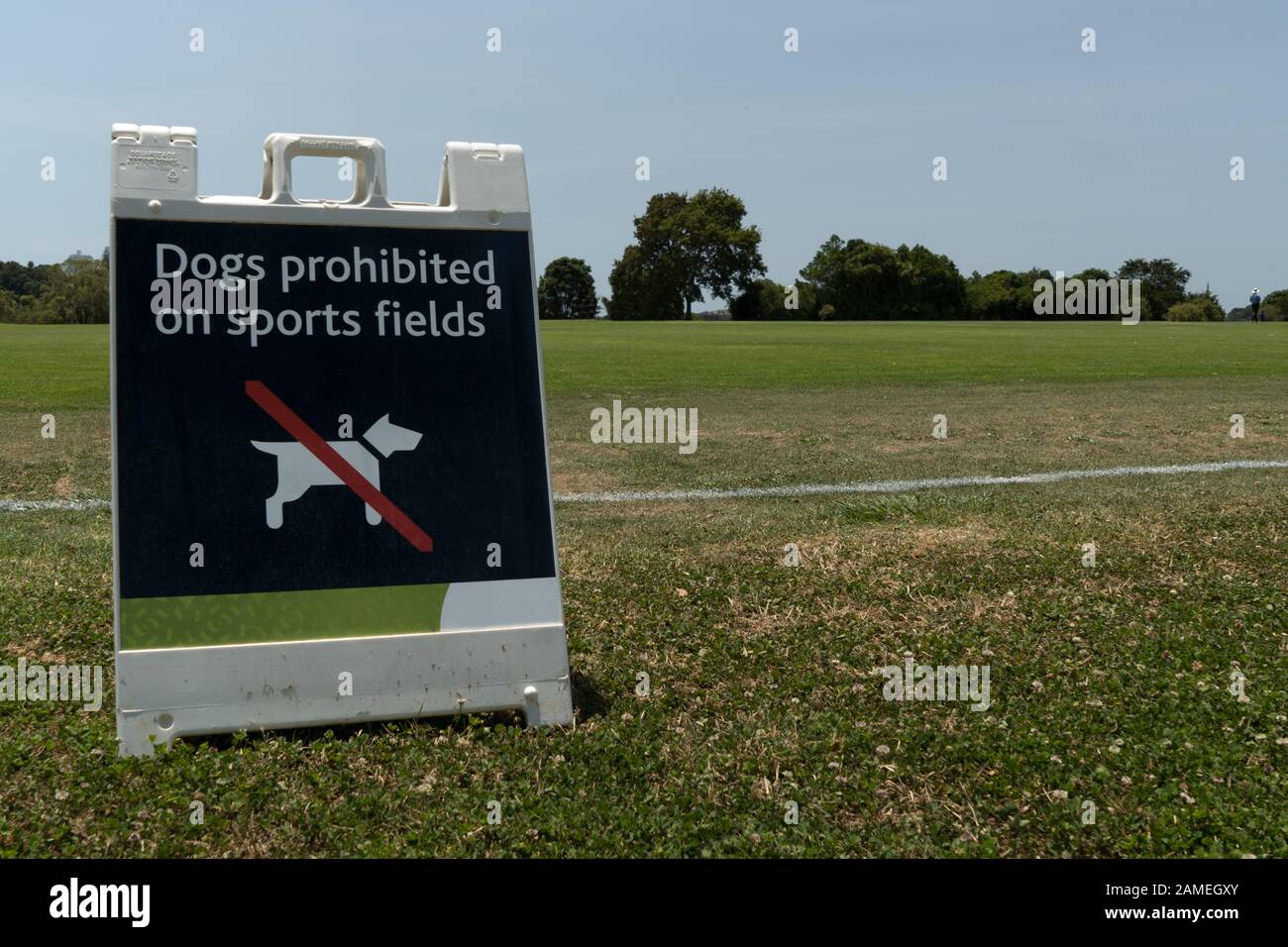 Hunde auf dem Sportplatz verboten tragbare Plastikschild Grass Cricket Pitch Parnell Cricket Club, Parnell, Auckland, Neuseeland. Stockfoto