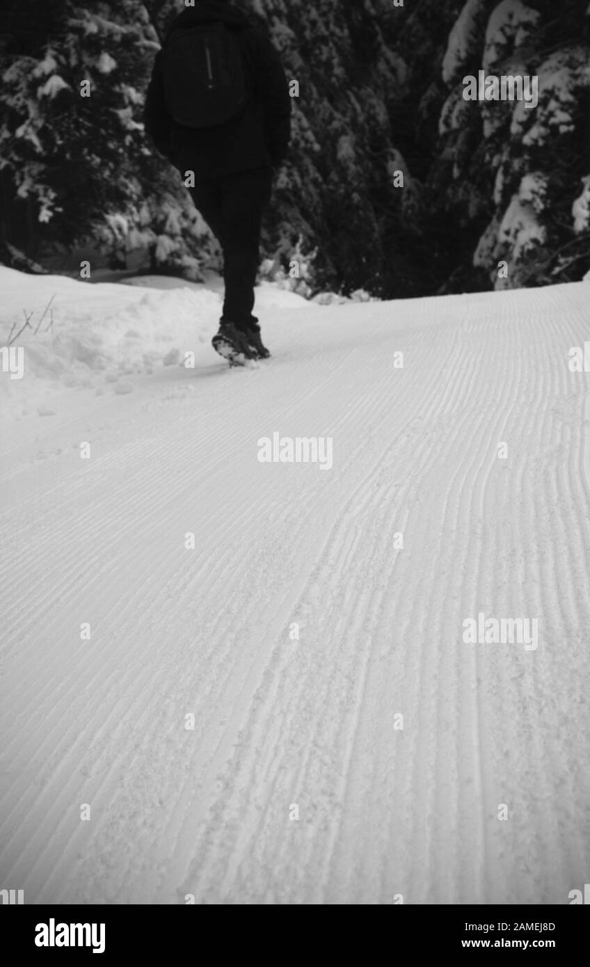 Eine dynamische Szene, in der eine Gruppe von Skifahrern während einer Skitour durch eine schneebedeckte Berglandschaft navigiert. Stockfoto