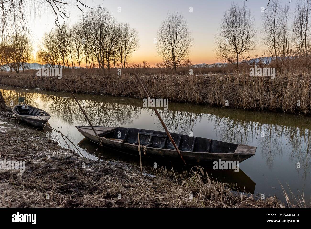 Typische Holzboote in der Padule di Fucecchio bei Sonnenuntergang, Porto dell'Uggia, Toskana, Italien Stockfoto