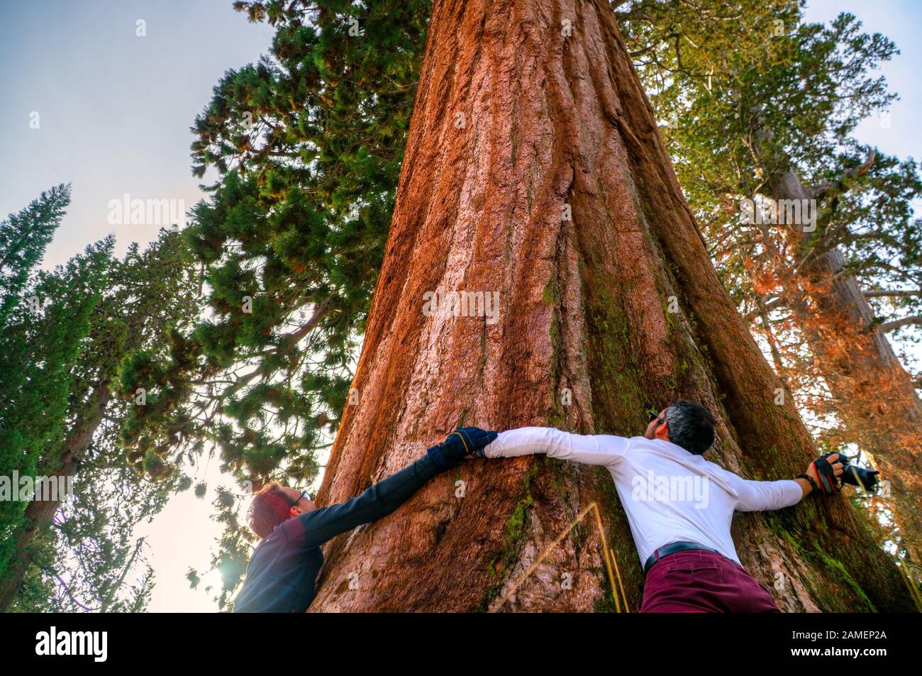 Natürliches Tal des Sequoia National Park bei Sonnenuntergang, Kalifornien, USA. Stockfoto