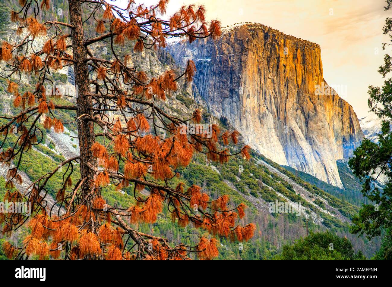 Yosemite National Park Blick bei Sonnenuntergang. Panorama von El Captain, Half Dome und Schachtelhalm Wasserfall. California, United States. Stockfoto