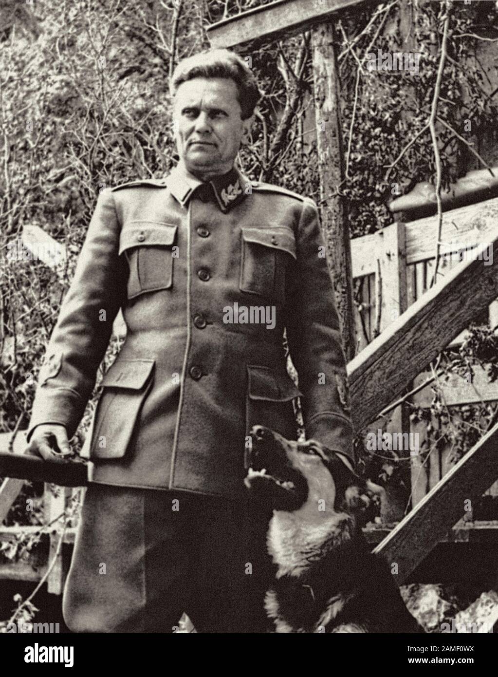Marschall Josip Broz Tito, Führer der vereinigten Jugoslawischen Partisanenbewaffnung gegen die Nazi-Eindringlinge und ihre Verbündeten, posiert mit seinem Hund. Stockfoto