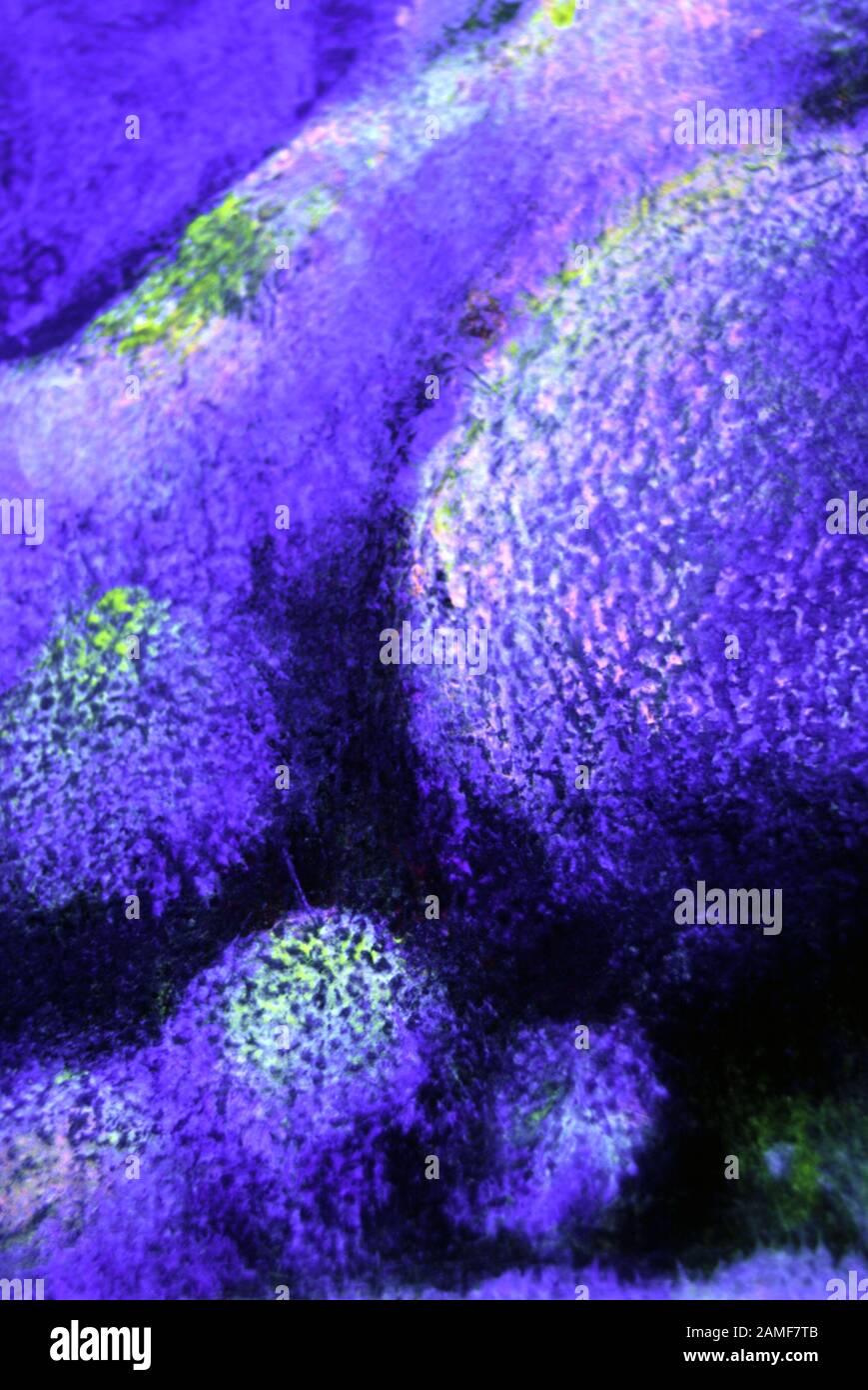 Abstrakte, blau-violette strukturierte Kreise und Kurven in ultraviolettem, UV-Trompe L'Oeil Detail, 50 Aston Street, Oxford, Großbritannien 2004 Stockfoto