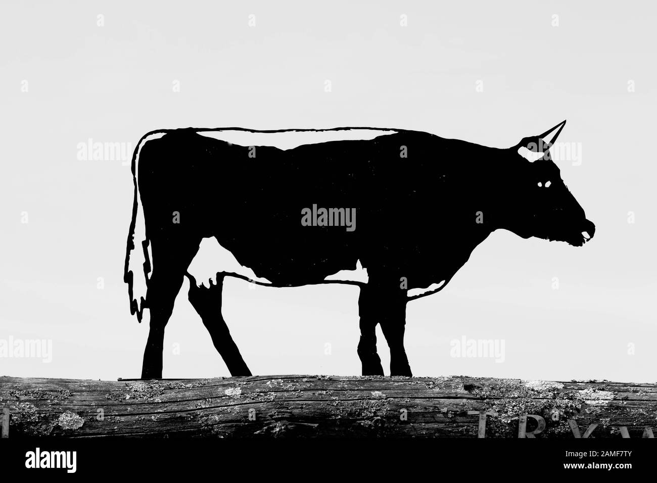 Eine Schaf Silhouette aus schwarzem Metall, isoliert vor weißem Hintergrund Stockfoto