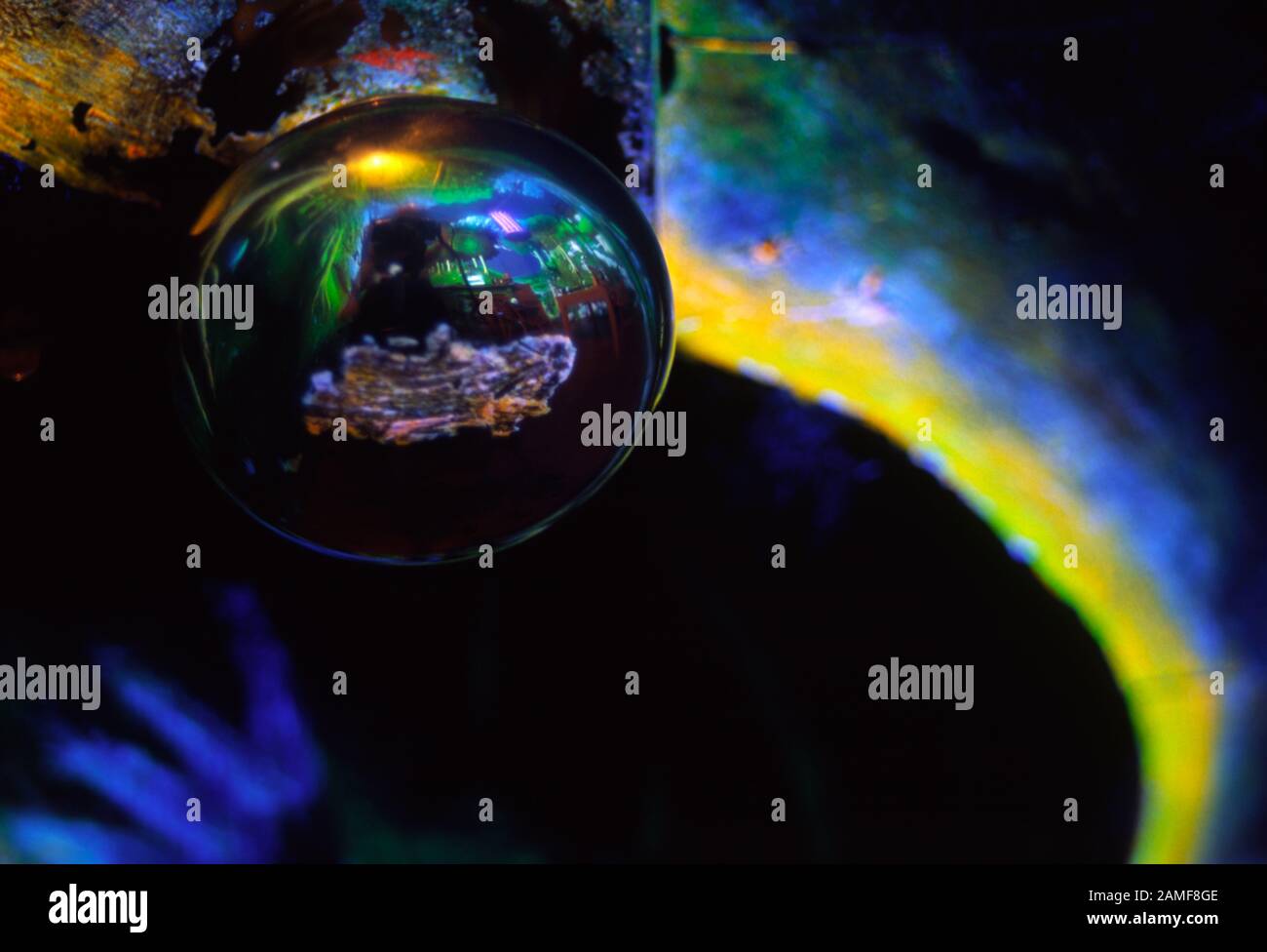 Ultra Violet lackiert Wald Wandbild von den vorderen Raum spiegelt sich in einem silbernen Türklinke, 50 Aston St, Oxford England 2004 Stockfoto