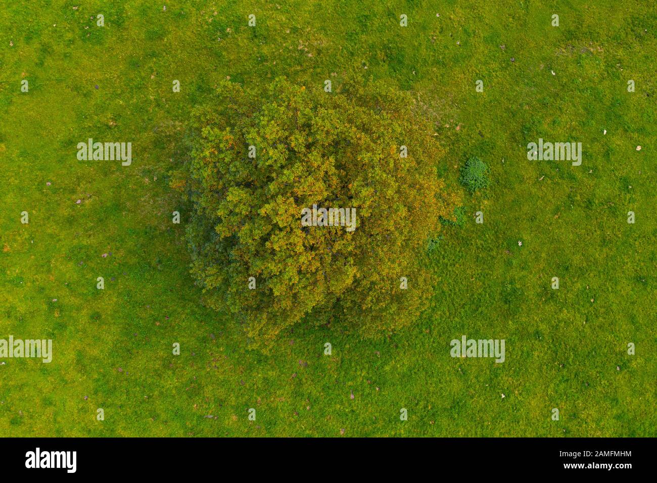 Luftbild, Landschaft in La Gándara, Soba-Tal, Valles Pasiegos, Alto Ason, Kantabrien, Spanien, Europa Stockfoto