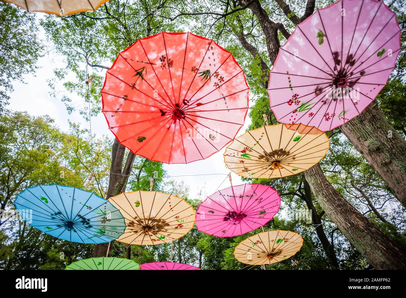 Chinesische traditionelle bunte Sonnenschirme auf Bäumen Low Angle View in Guilin, Guangxi Provinz, China erhängt Stockfoto