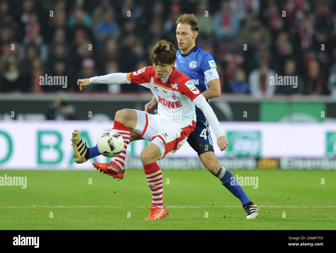 Köln, Deutschland. Februar 2017. Firo: 19.02.2017 Fußball, Saison 2016/2017 1.Bundesliga: 1.FC Köln - Schalke 04, Duels, Yuya OSAKO, 1.FC Köln, Ganzzahl, Benedikt HOWEDES, HOEWEDES, FC Schalke 04, Nutzung Worldwide Credit: Dpa/Alamy Live News Stockfoto