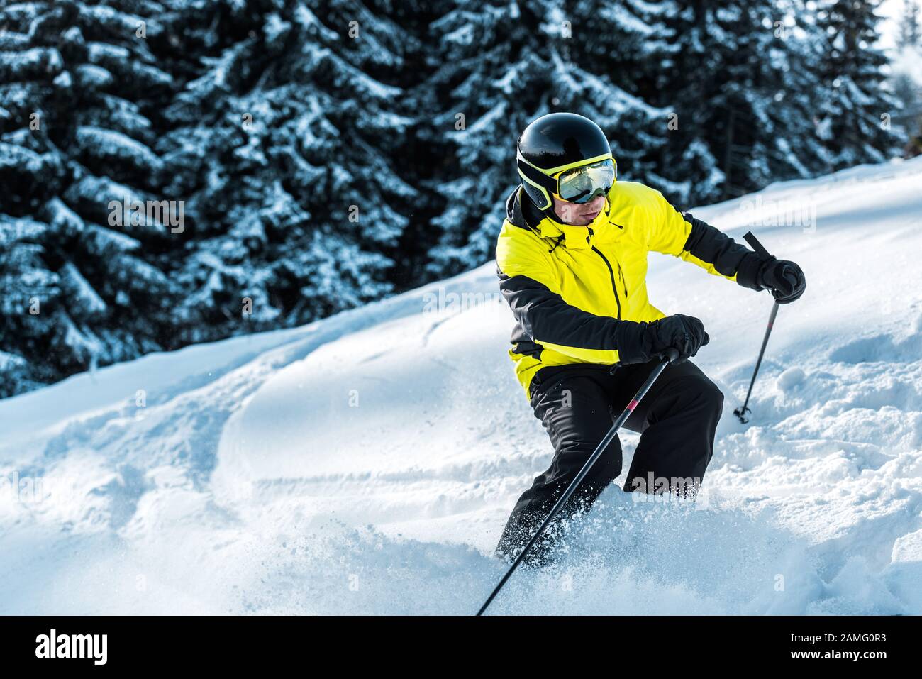 Skifahrer in Brille und Helm, die Skistöcke und Skifahren in der Nähe von Firs halten Stockfoto