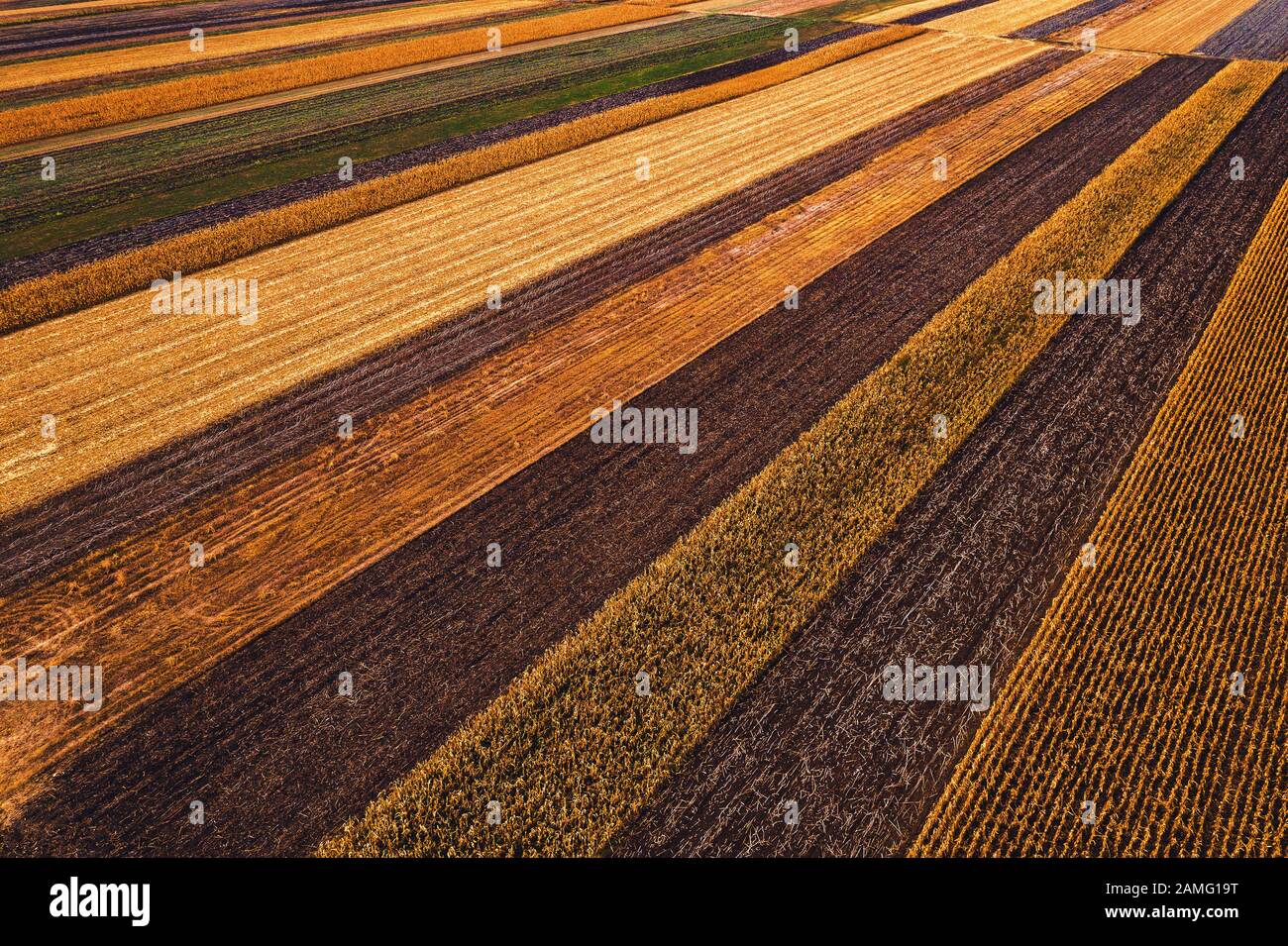 Agrarfelder von oben, Drohnenfotografie. Luftbild der farbenfrohen Landschaft Flickenteppich in schwindender Perspektive, Stockfoto
