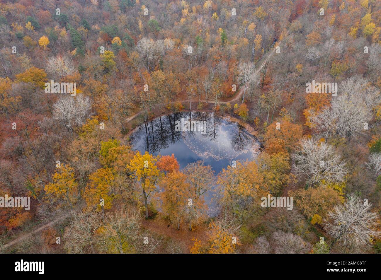 Frankreich, seine et Marne, Fontainebleau, Wald Fontainebleau, Biosphärenreservat Fontainebleau und Gatinais von der UNESCO, Teich Evees im Herbst (Luftbild) Stockfoto