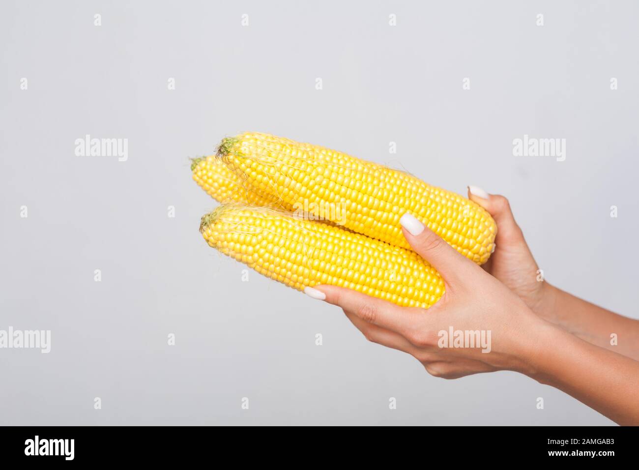 Nahaufnahme der Hände von Frauen, die Maiskolben, frisches Rohgemüse, ein Konzept für gesundes Essen und vegetarische Ernährung, kalorienarme Lebensmittel und Zutaten für Köche halten Stockfoto