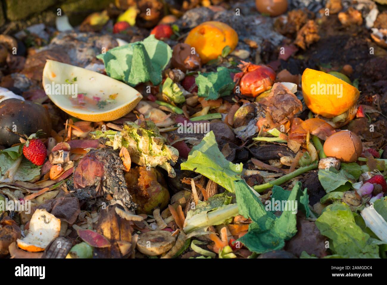 Ein Komposthaufen in einem Garten in Lancashire mit Gemüse- und Obstschalen im Winter. Lancashire England GB Stockfoto