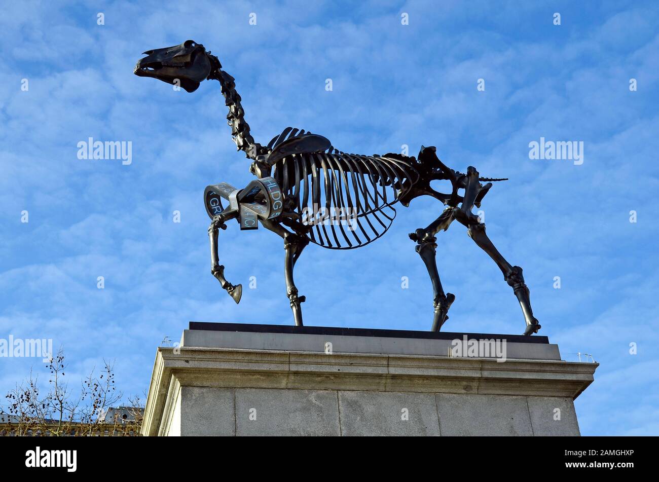 London, Großbritannien - 19. Januar 2016: Moderne Skulptur auf der vierten Sockelplatte, randloses Pferdeskelett des Künstlers Hans Haacke auf dem Trafalgar Square Stockfoto