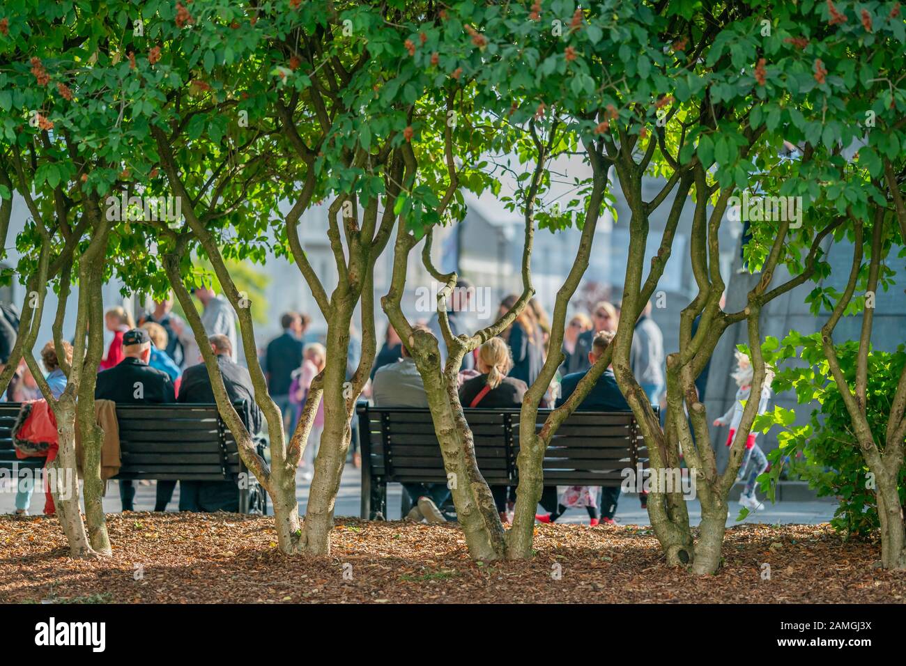 Menschen, Kulturtag, (Menningarkott) Reykjavik, Island Stockfoto