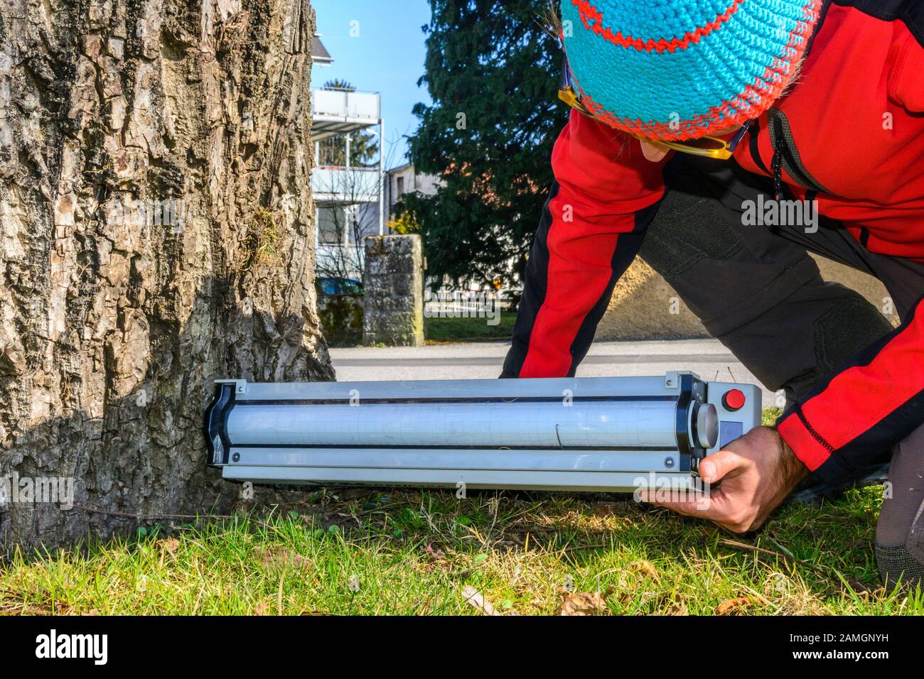 Treeworker Prüfung einen Baumstamm mit technischer Ausrüstung Stockfoto