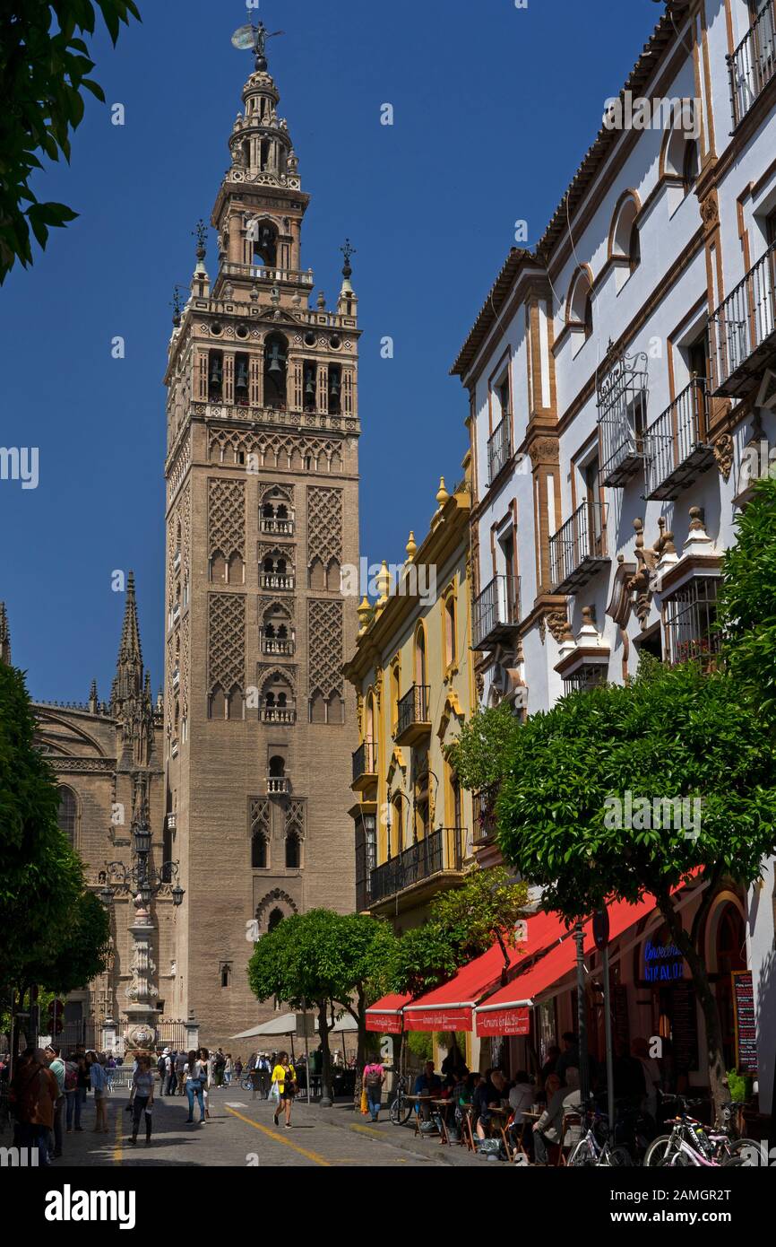 Gerald Turm der Kathedrale, Sevilla, Andalusien, Spanien Stockfoto