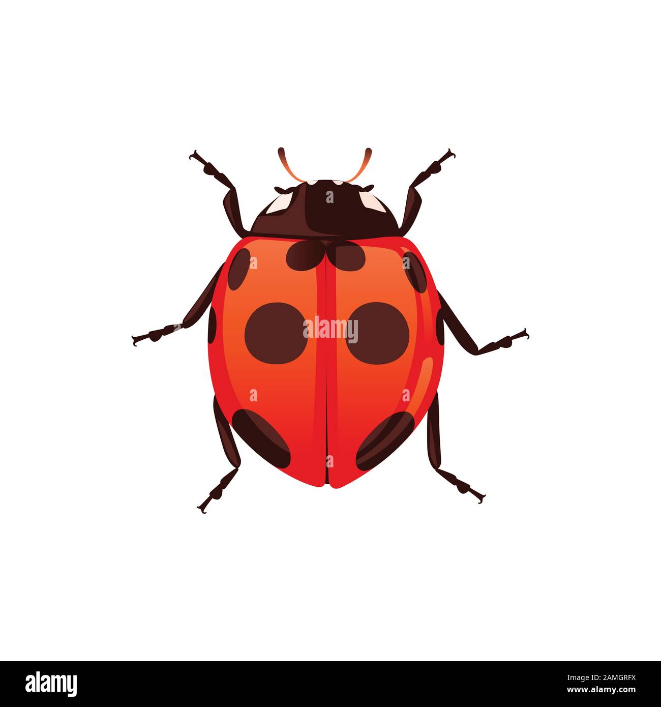 Ladybug mit Closed Shell-Käfer Cartoon Design flache Vektorgrafiken isoliert auf weißem Hintergrund. Stock Vektor