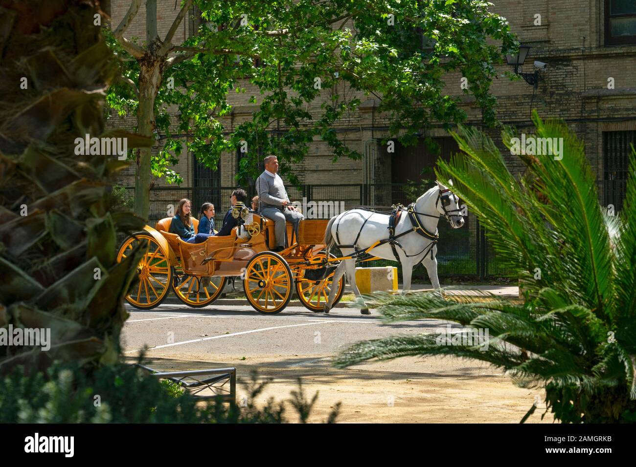 Sightseeing-Pferd und Kutsche auf den Straßen von Sevilla, Andalusien, Spanien Stockfoto