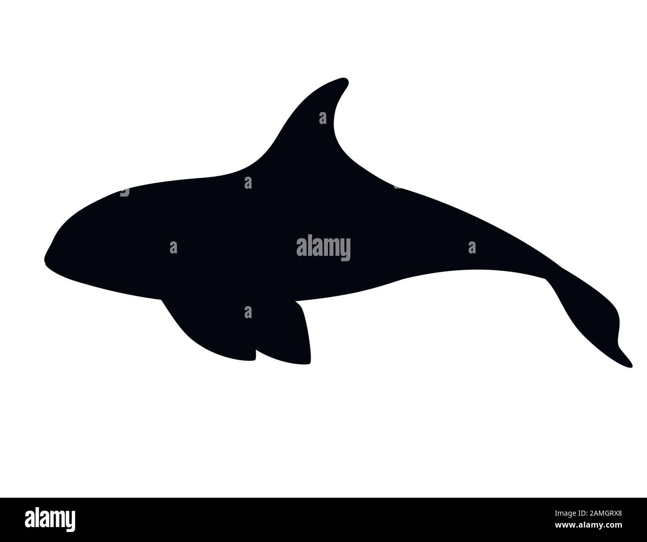 Schwarzer Silhouetten-Killerwal (Orcinus Orca) Cartoon Tierdesign Ocean Mammal Orca flache Vektorgrafiken isoliert auf weißem Hintergrund. Stock Vektor