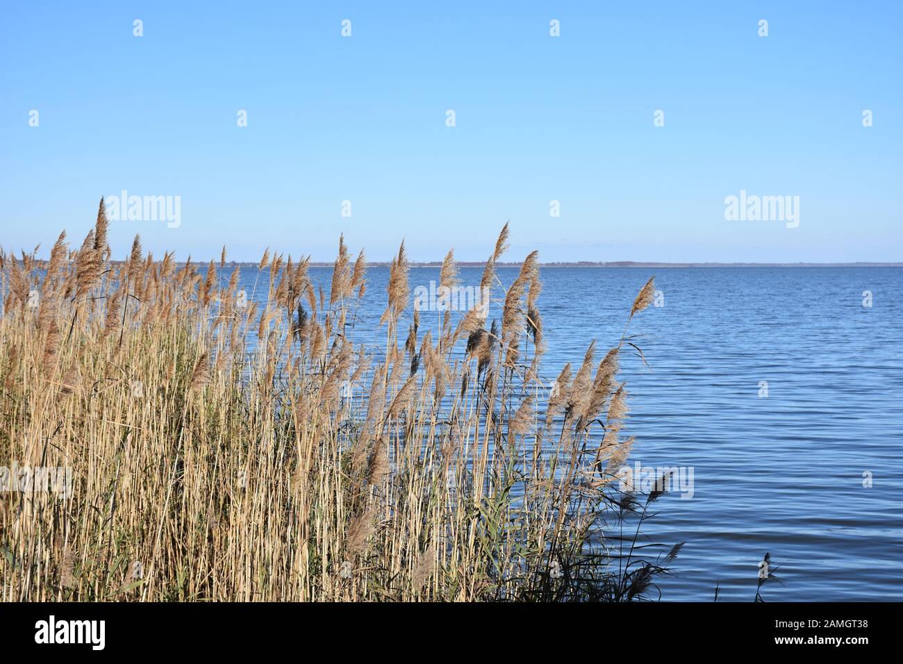 Lake Mattamuskeet im Mattamuskeet National Wildlife Refuge ist der größte natürliche See in North Carolina. Stockfoto
