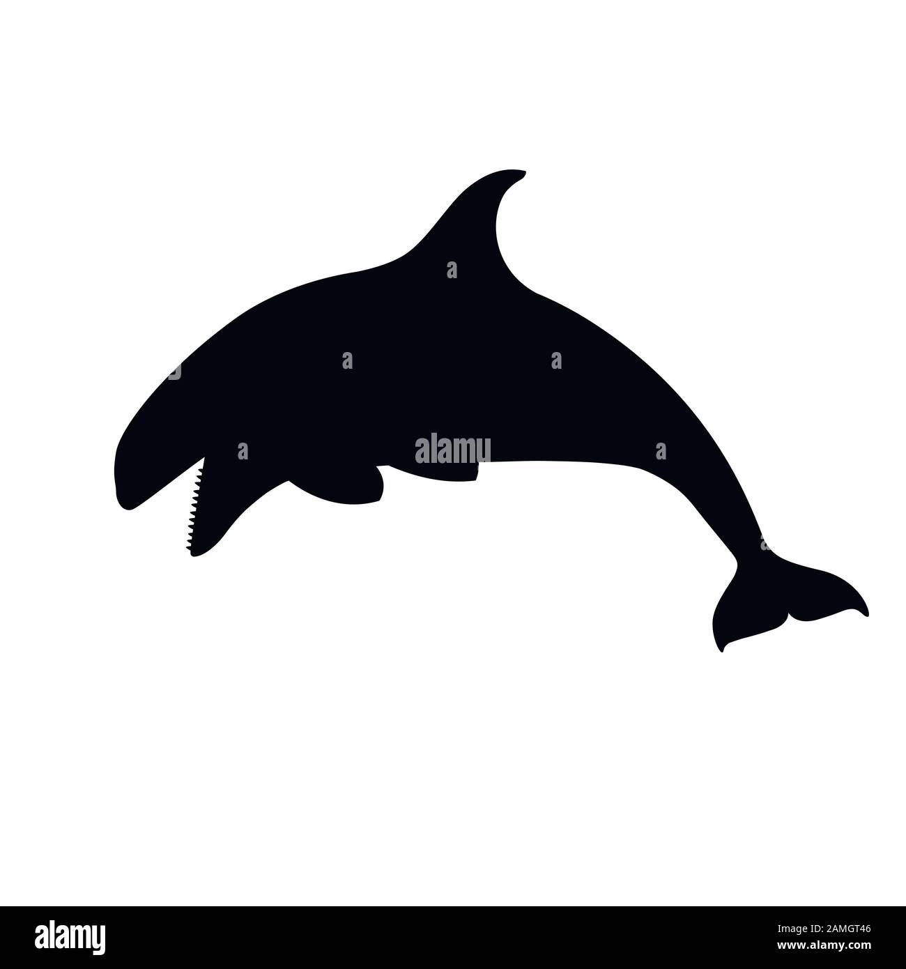 Schwarzer Silhouetten-Killerwal (Orcinus Orca) Cartoon Tierdesign Ocean Mammal Orca flache Vektorgrafiken isoliert auf weißem Hintergrund. Stock Vektor