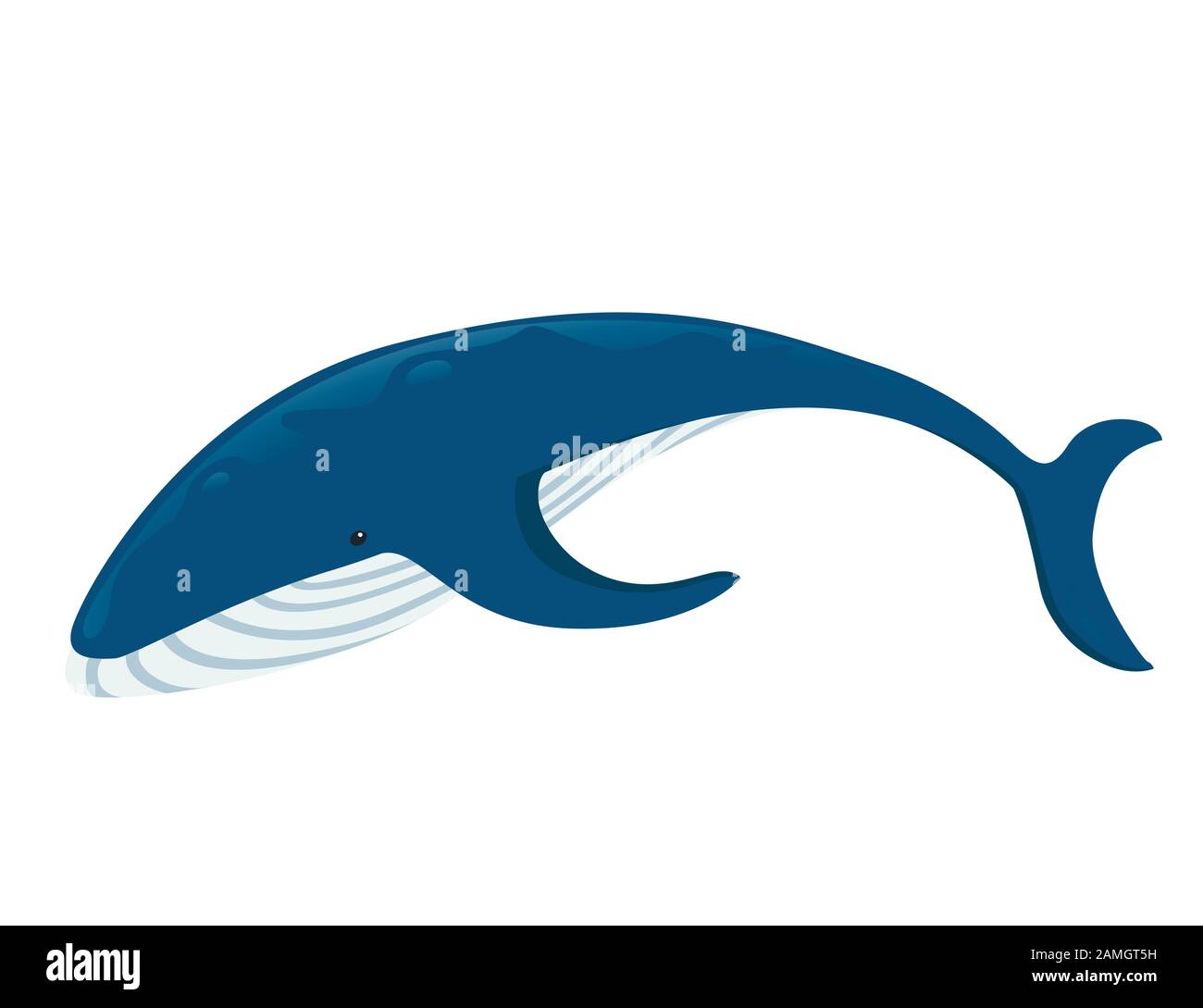 Big Blue Whale Cartoon Tierdesign größte Säugetiere der Erde flache Vektorgrafiken isoliert auf weißem Hintergrund. Stock Vektor