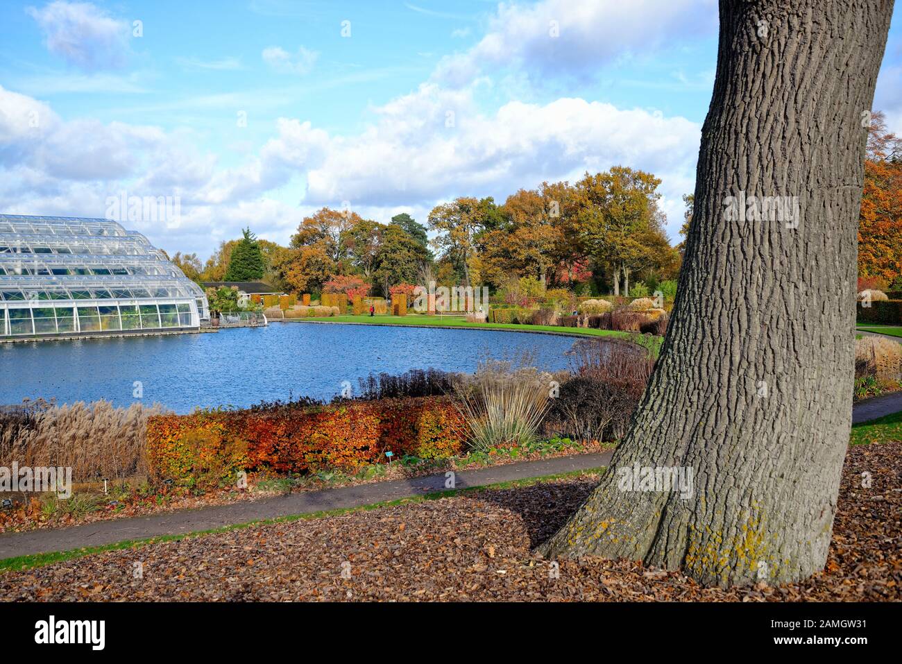 Die Gärten der Royal Horticultural Society in herbstlichen Farben in Wisley, Surrey England, Großbritannien Stockfoto