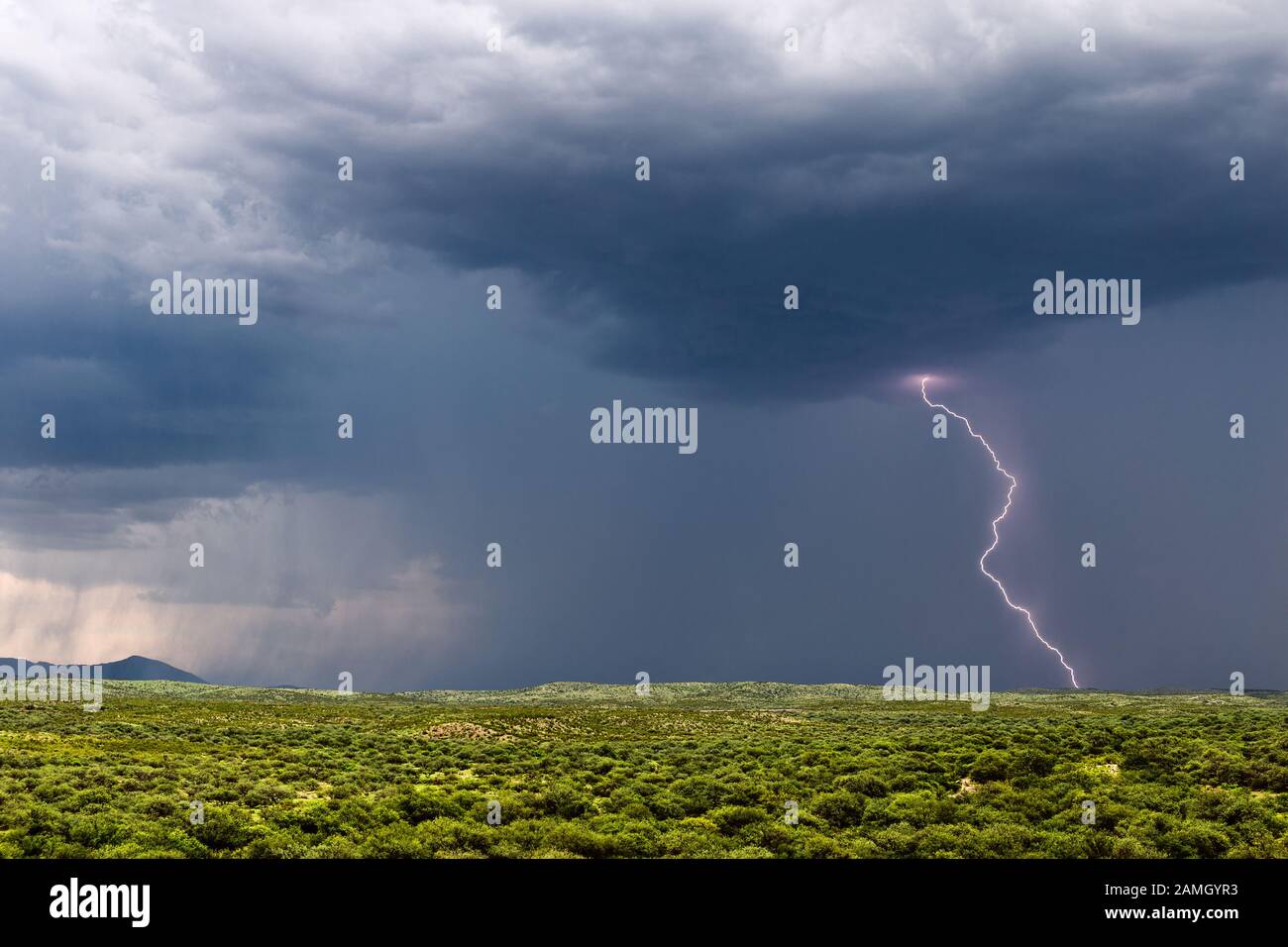 Ein Monsunsturm in Arizona mit Blitz, dunklem Himmel und starkem Regen nähert sich Tucson Stockfoto