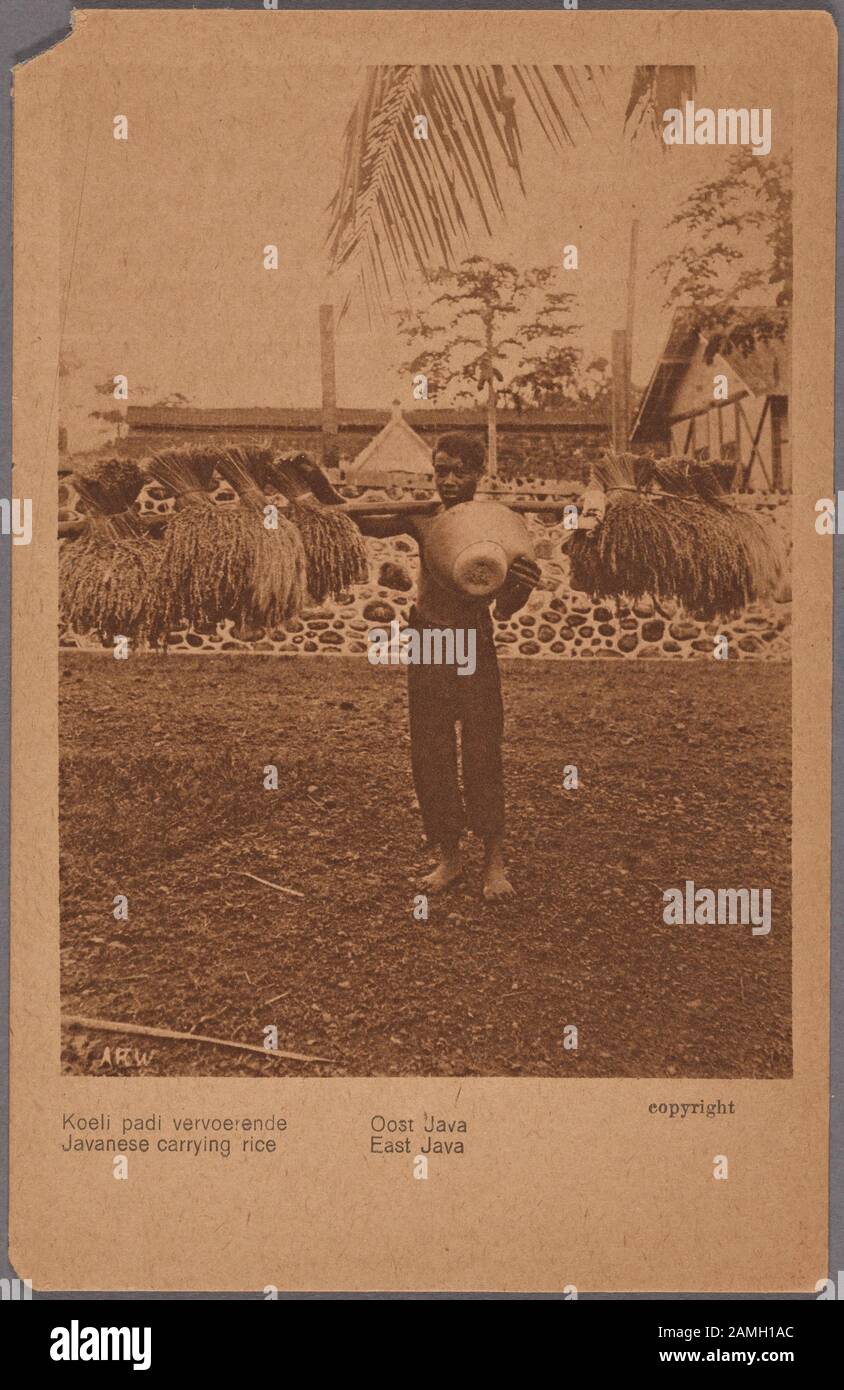 Gravierte Postkarte eines ortsansässigen Mannes, der Reisbündel auf einem Schulterpol, Java, Indonesien, vom Fotografen A.R., trägt Wagschal, Im Jahre 1915. Aus der New York Public Library. () Stockfoto