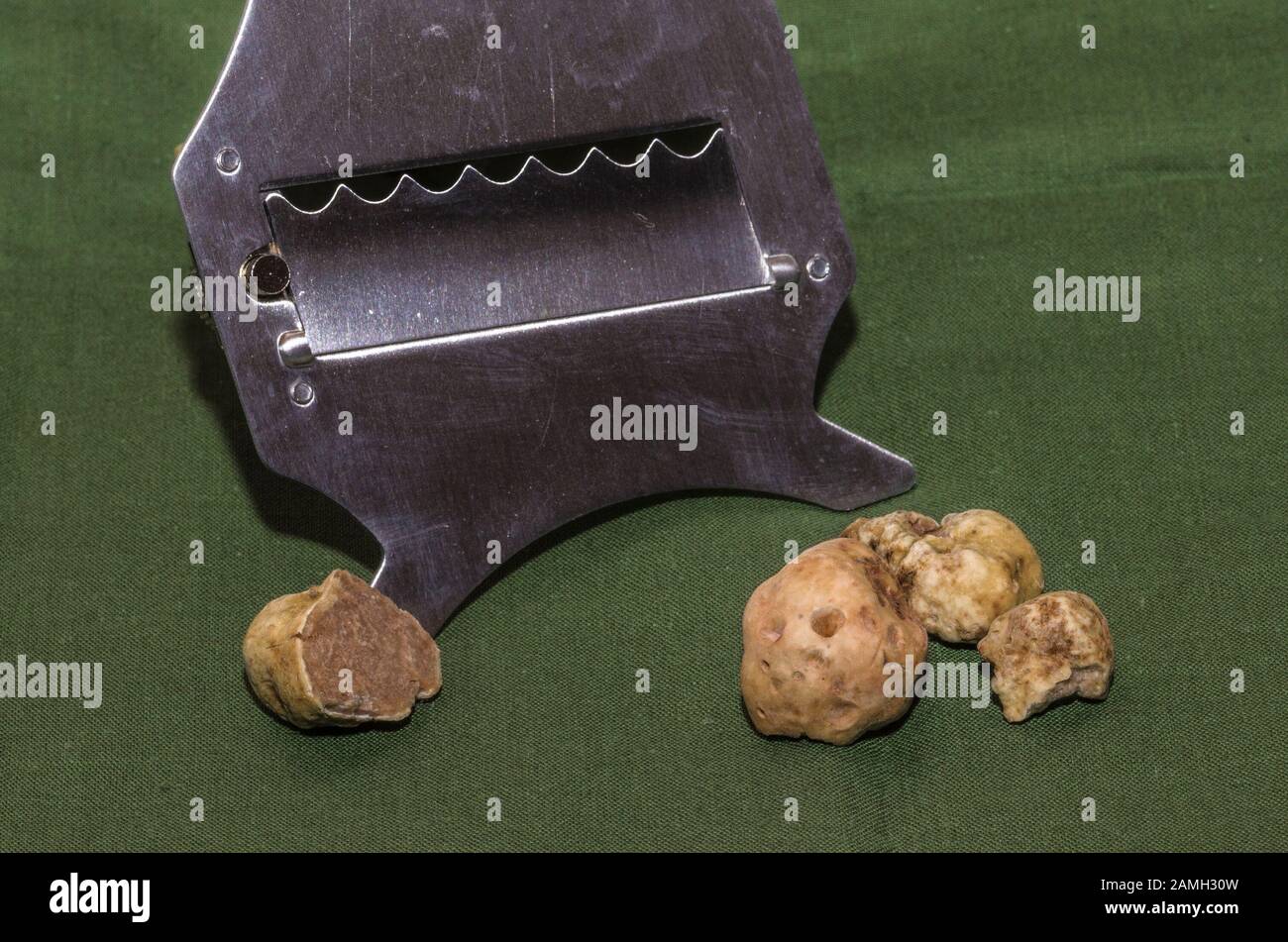 Kostbare weiße Trüffel und Trüffeln Stockfoto