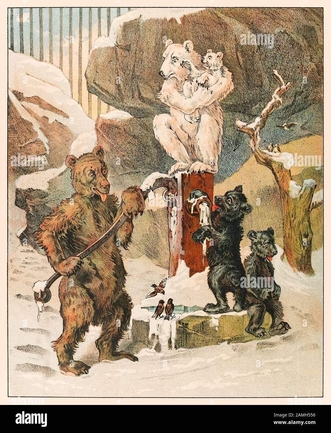 Bären (schwarz, braun und polar) in einer Bärengrube, von P.T. Barnums Menagerie, erschienen im Jahr 1888, Illustration von Sarah J. Burke. Stockfoto