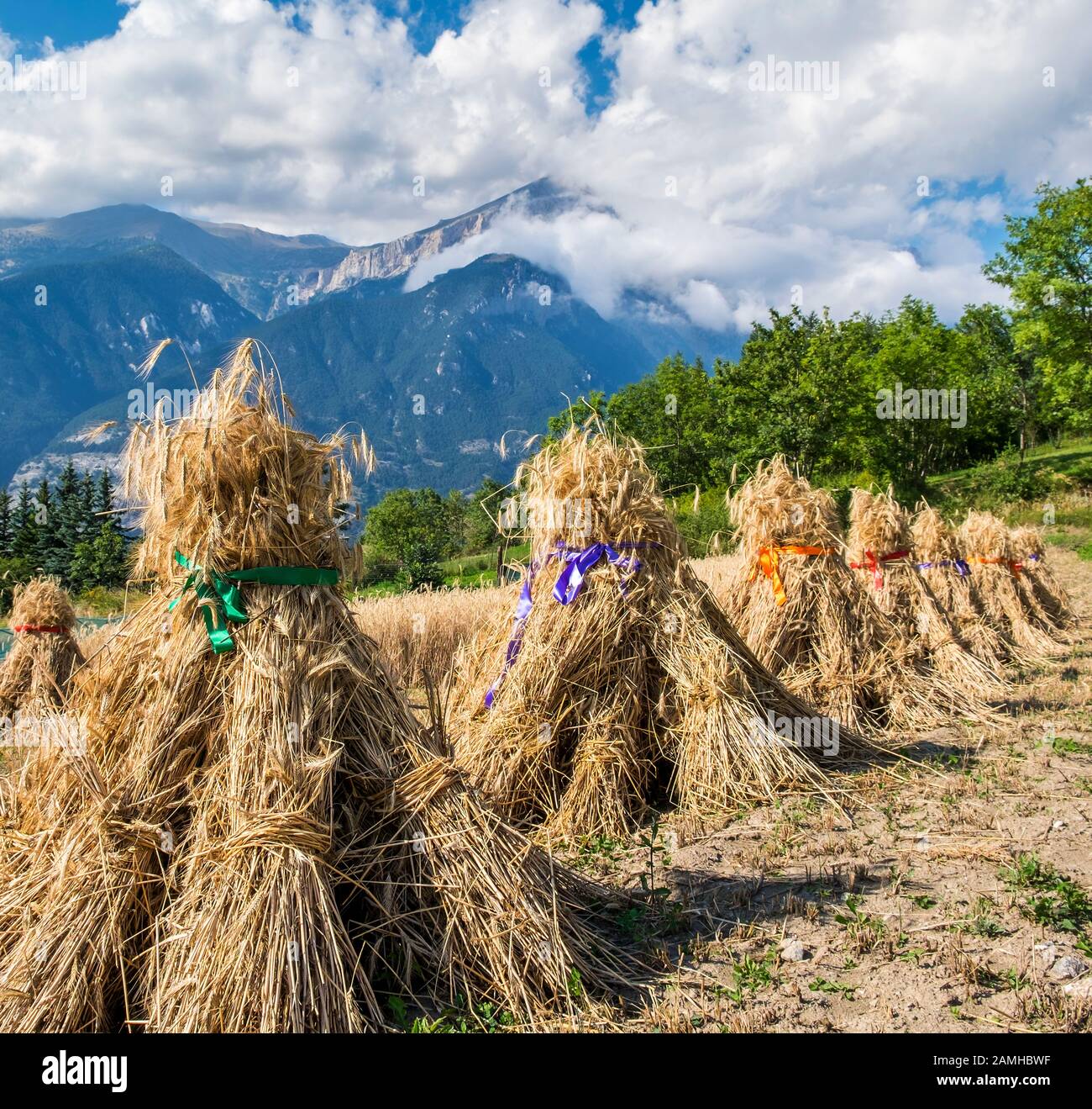 Traditionelle alte Landtechnik, Heuballen zu stapeln und Bänder um sie herum in den hochalpen, Piemont, Italien zu ticken. Stockfoto