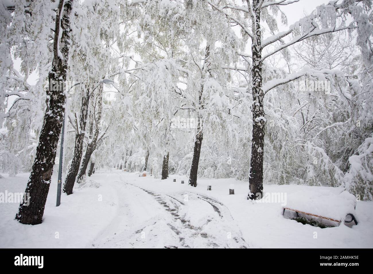 Polen, Tschenstochau - 19. April 2017: Schneefelder im Frühjahr, starker Schneefall im April in Polen Stockfoto
