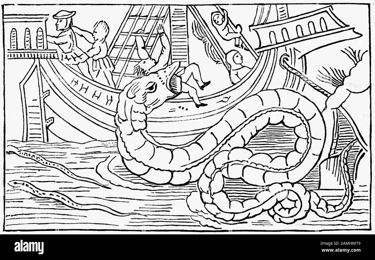Olaus Magnus war ein ekklesiastischer Kartograf und Historiker aus dem 16. Jahrhundert und schreibt in seinem Buch "Geschichte der Nordbevölkerung" (1555): "Diejenigen, die entlang der Küste Norwegens fahren, um Handel zu treiben oder zu fischen, erzählen die bemerkenswerte Geschichte, wie eine Seeschlange oder ein Seedragaon von furchterregender Größe ist, 200 Fuß lang und 20 Fuß breit, befindet sich in Rifts und Höhlen außerhalb von Bergen. In hellen Sommernächten verlässt diese Schlange die Höhlen und fährt zum Meer hinaus, um sich zu ernähren. Mit seinen scharfen schwarzen Schuppen und den flammenden roten Augen greift sie Gefäße an, greift und schluckt Menschen, da sie sich wie eine Säule aus dem Wasser hebt." Stockfoto