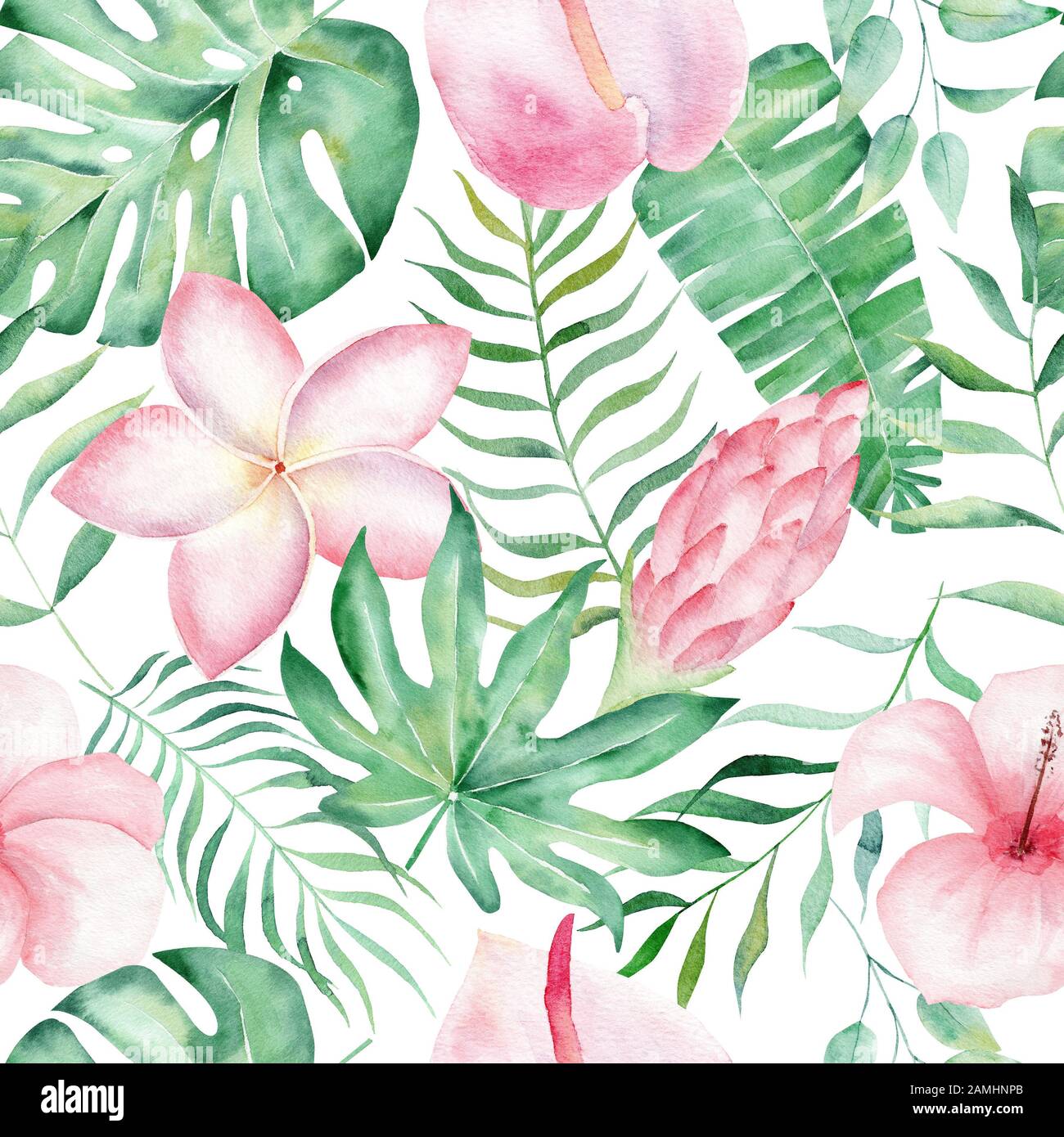 Tropische Pflanzen Blätter und Blumen handgezeichnete nahtlose Musterabbildung. Plumeria, Hibiskus und Anthurium Trendkulisse. Dschungelwald, Botanica Stockfoto