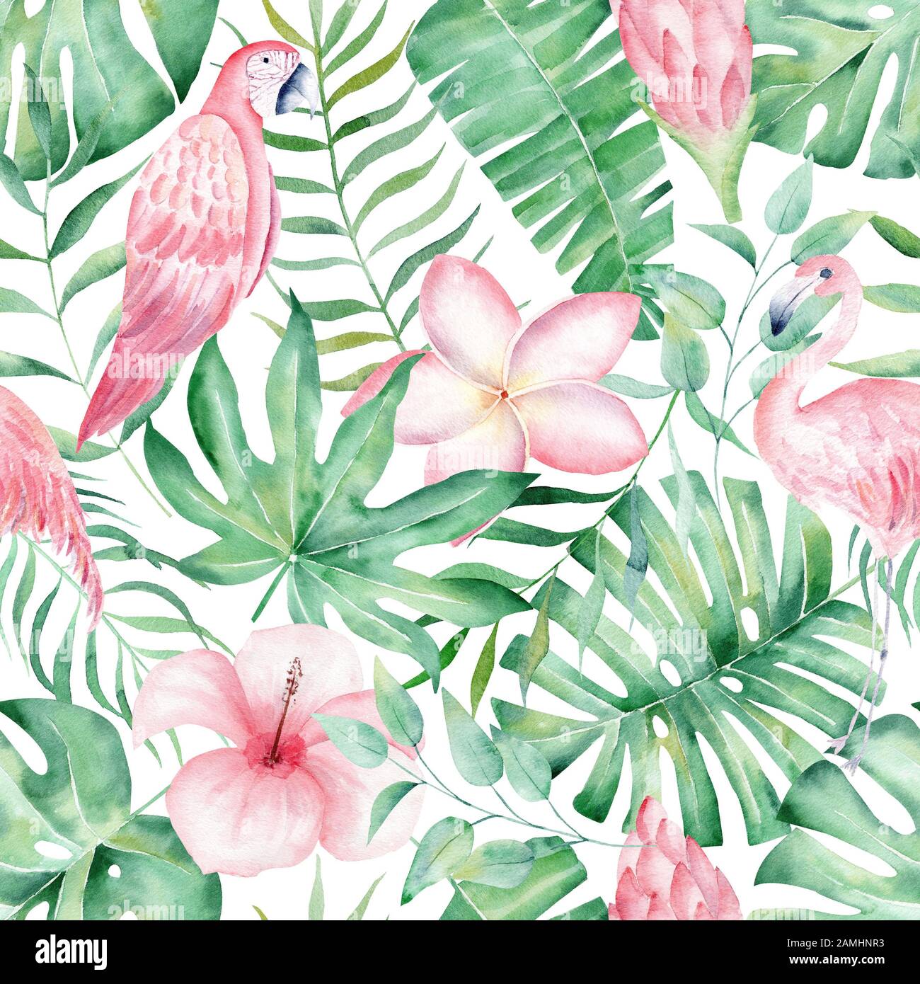 Tropische Regenwaldpflanzen Zeichnen Sich Durch Ein Nahtloses Muster Aus Plumeria Hibiskus Und Anthurium Mit Rosafarbenem Flamingo Und Papagei Dschungelwald Stockfotografie Alamy