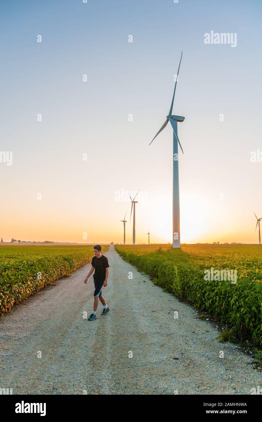 Junger Mann, der auf einer Landstraße mit großen Windrädern in einem Maisfeld in Dexter Minnesota USA spazieren geht Stockfoto