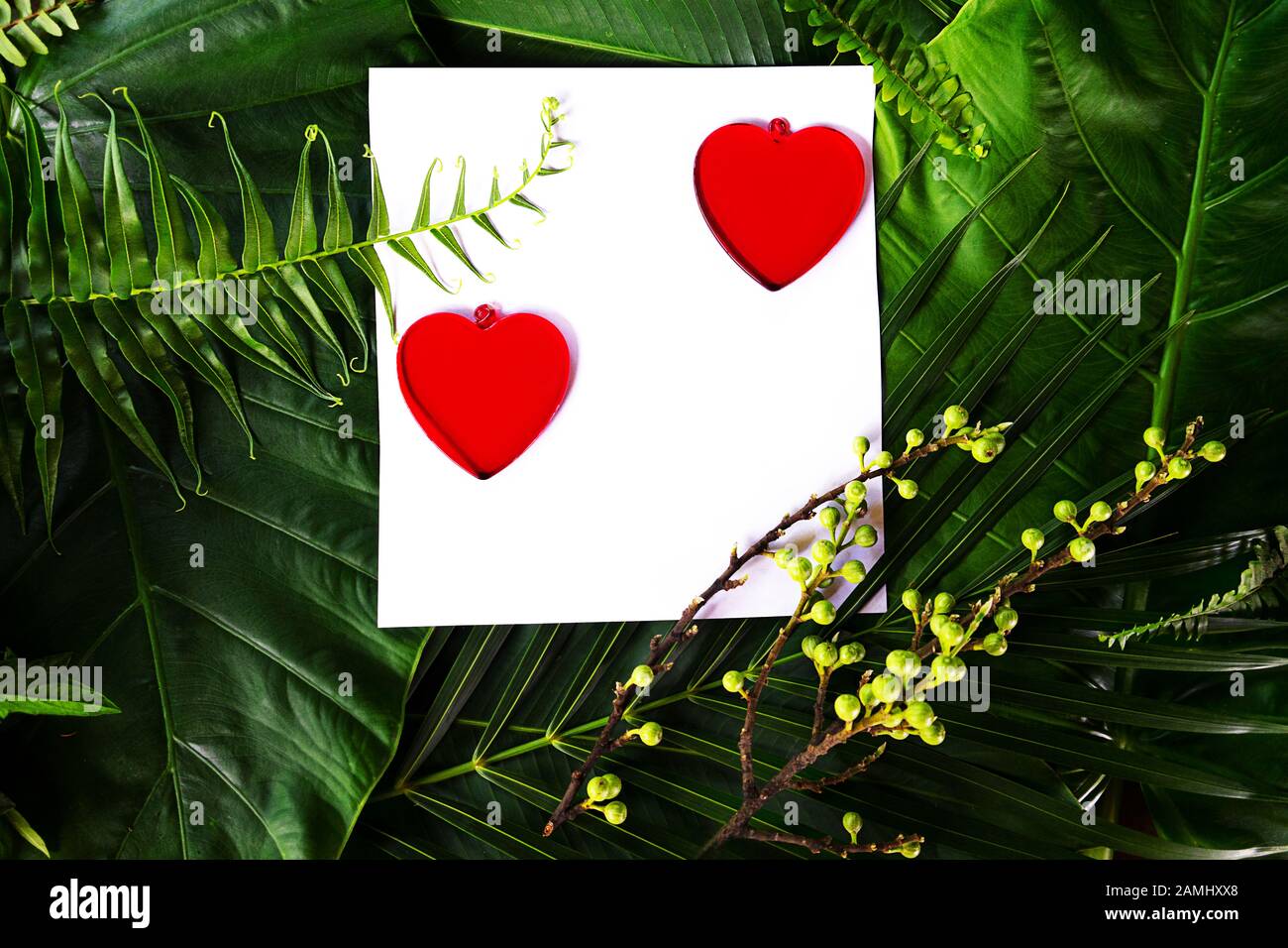 Zwei rote Herzen auf Palmblättern Hintergrund. Valentinskarte mit Naturhintergrund. Flaches Layout, Draufsicht, Kopierbereich. Stockfoto
