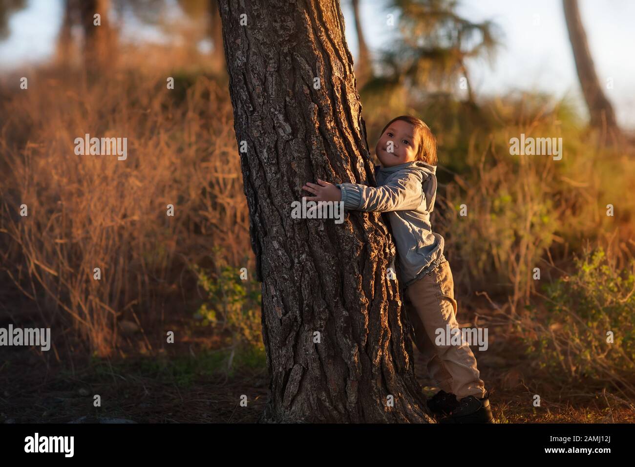 Ein niedlicher kleiner Junge, der bei Sonnenuntergang einen Kiefernbaum auf einem Hügel umarmte. Stockfoto