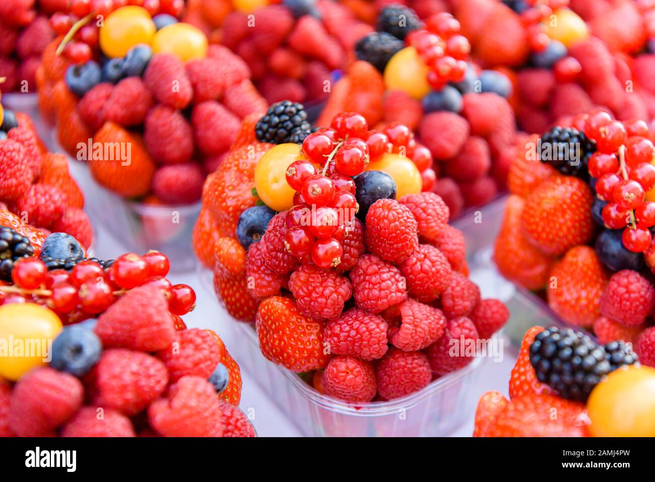 Plastikpunette aus Himbeeren, Erdbeeren, Rotkräuseln, Brombeeren, Physalis und anderen Früchten zum Verkauf in einem Obstladen. Stockfoto