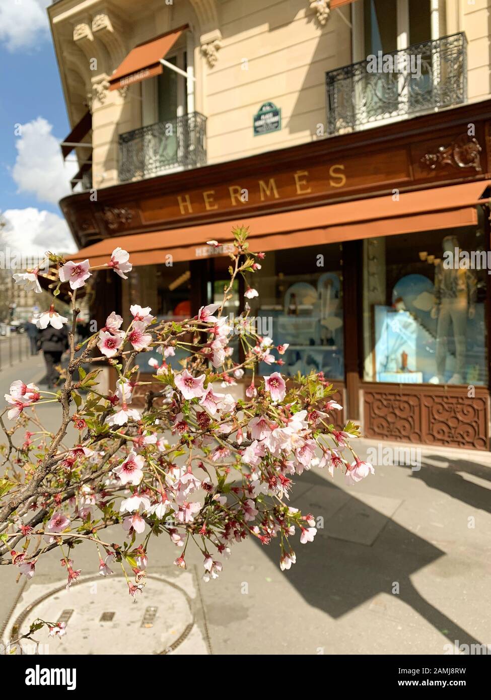 Paris, Frankreich - 19. März 2019: Vintage Hermes Modehaus Boutique mit Sakura Kirschblüte drei in Blüte und Hausmannian Gebäude in der Nähe der champs elysee Stockfoto