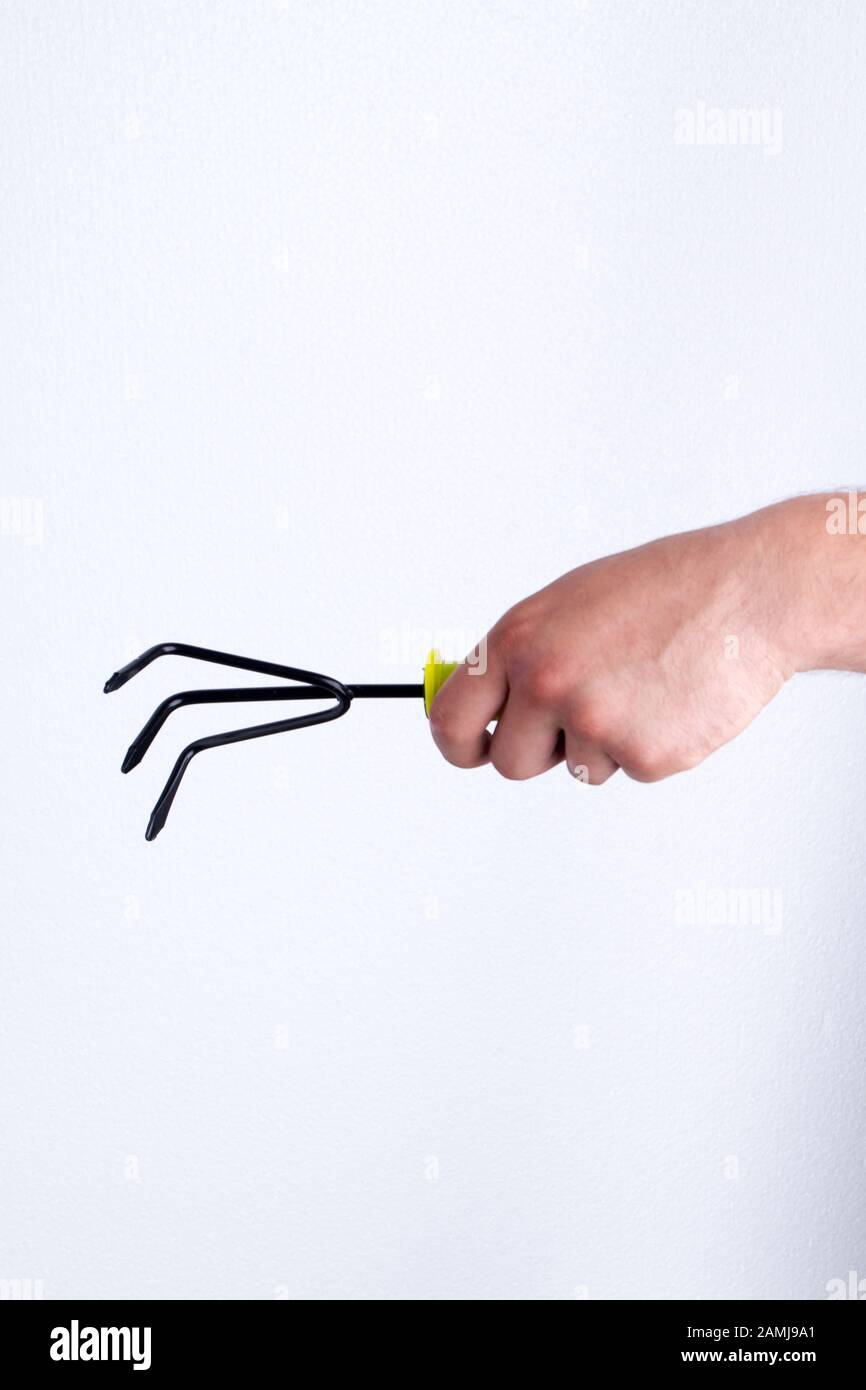 Handhabte Gartengabel isoliert auf weiß. Stockfoto